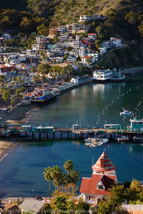 Catalina Island | Avalon, Catalina Island, California. | Photos by Ron ...