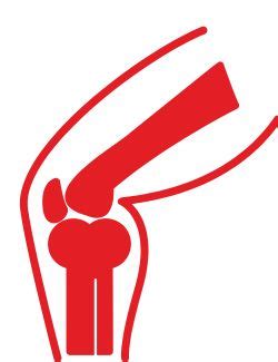 Expert Orthopaedic Care in Ludhiana for Bone & Joint Health | Mohandai ...