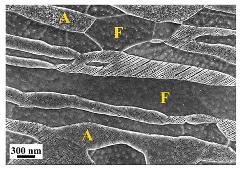 The Effect of Deformation Temperature on the Deformation Mechanism of a ...