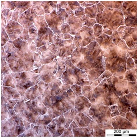 Physical and Numerical Simulations of Closed Die Hot Forging and Heat ...