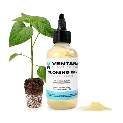 Amazon.com : Ventana Plant Science Cloning Gel - Cloning Paste with ...