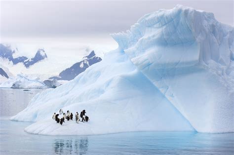 Antarctica: Photos from the end of the Earth - CNN.com
