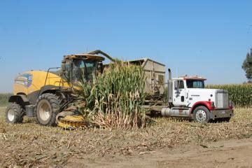 Langschnitt im Fokus | agrarheute.com