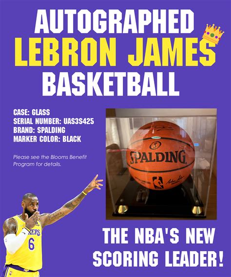 Charitybuzz: Lebron James Signed Basketball