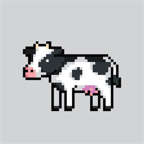 Image result for How to Run Code in Python