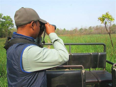 THE CHITWAN TIGER GUIDE SERVICE AND MINI LIBRARY (2026) All You Need to ...