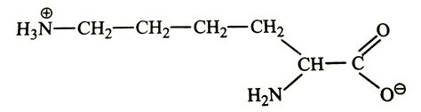 The total number of basic groups in the following form of lysine is