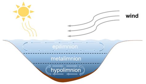 Modelling of Acid Mine Drainage in Open Pit Lakes Using Sentinel-2 Time ...