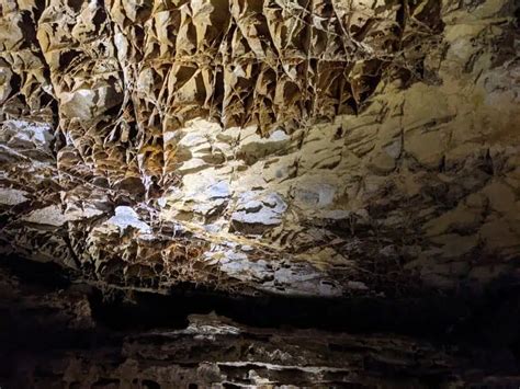 Image result for Wind Cave EFT Machine