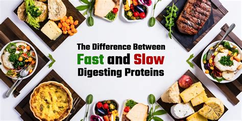 The Difference Between Fast and Slow Digesting Proteins: Which One is ...