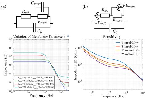 Electrochemical Impedance Spectroscopy for Ion Sensors with ...