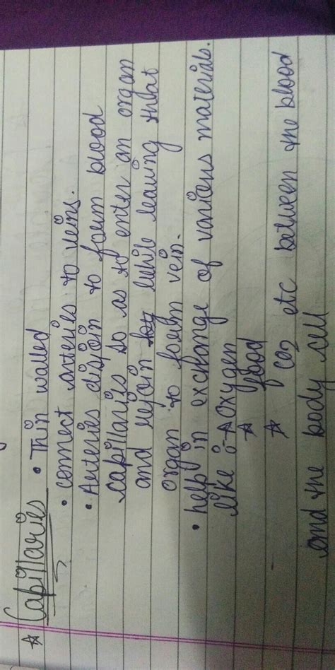 Bowman's capsule contain a bundle of capillaries called glomerulus what ...