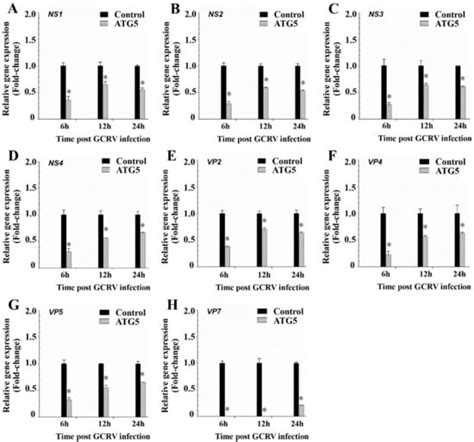 Autophagy Inhibits Grass Carp Reovirus (GCRV) Replication and Protects ...