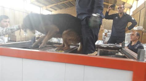 The inventive ways traffickers get drugs past Iranian customs