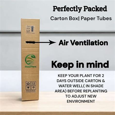 Cloud Farm Bhringraj Plant Price in India - Buy Cloud Farm Bhringraj ...