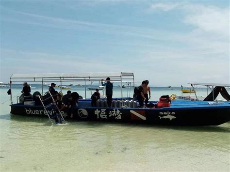 BLUE REVIVAL DIVING (2026) All You Need to Know BEFORE You Go (w ...