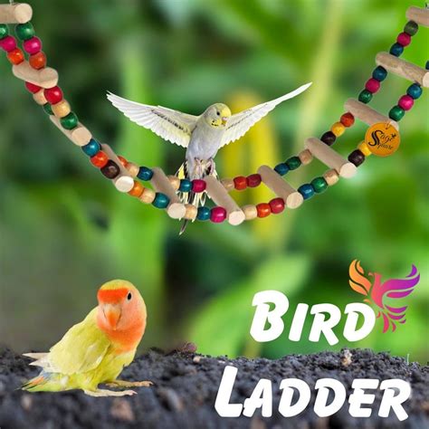 Sage Square Bird Cage Hanging Ladder 48cm - Step Up Your Bird's Fun ...