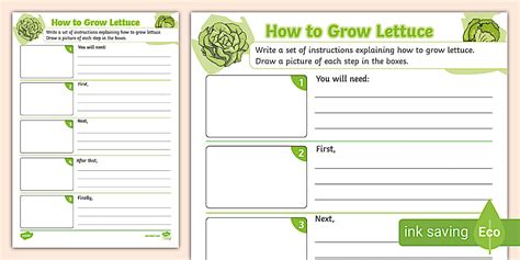 How to Grow Lettuce Instructional Writing Template - Twinkl