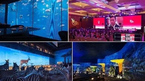 Novastar Software Tutorial 的图像结果