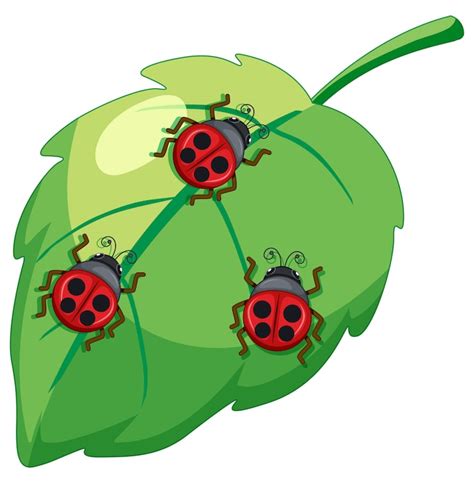 Images de Coccinelle dessin – Téléchargement gratuit sur Freepik