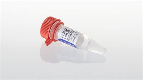 pFN2 (GST) Flexi® Vectors