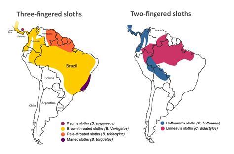 where do sloths live map Android IOS V- 5.53