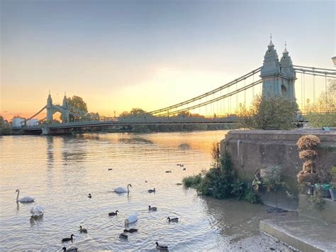 Energy Healing in Hammersmith, Hammersmith Healing Centre - The Healing ...