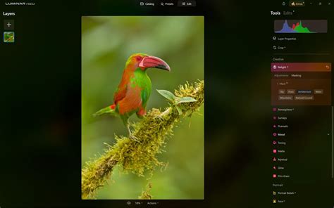 Image result for Neo Luminar Sample