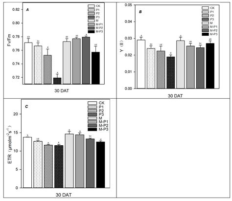 Melatonin Stimulates Activities and Expression Level of Antioxidant ...