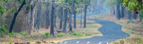 Tadoba National Park Safari - Jeep Safari Price & Contact No
