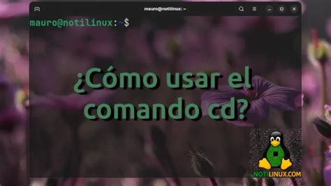 Comando Find En Linux 的图像结果