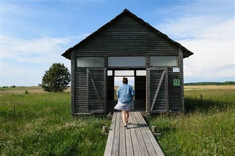 Great day with Rihards - Reviews, Photos - Discover Latvia Tours ...