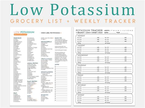 Low Potassium Food List Printable - Download & Print Free Educational ...