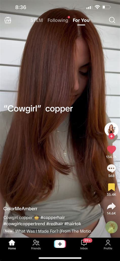 Pin by Salena Thorne on Hair with flair | Cowgirl hair, Ginger hair ...