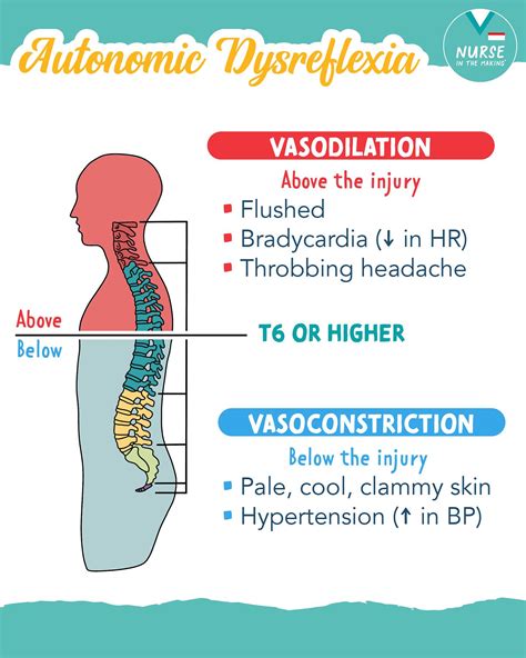 Autonomic Dysreflexia