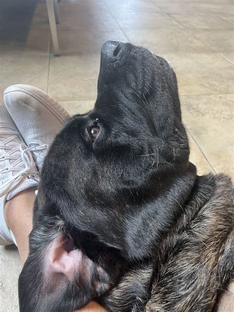 Robert W. Smith on LinkedIn: I don’t typically write posts with an ...