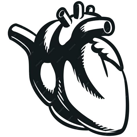 Human Heart Silhouette