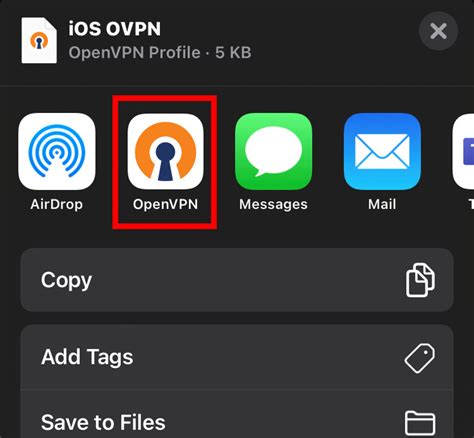 Image result for OpenVPN Setup iPhone