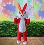 Image result for Babs Bunny Costume