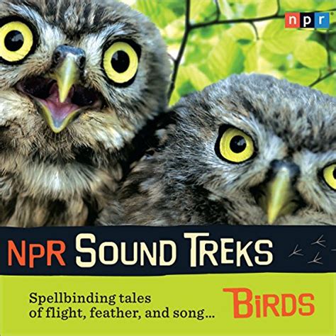 NPR Sound Treks: Birds: Spellbinding Tales of Flight, Feather, and Song ...