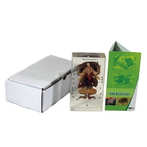 Toad Dissection Tutorial 的图像结果