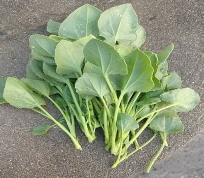 Chalisa Sorrel, Chukka kura, Leafy Vegetable Seed Price in India - Buy ...