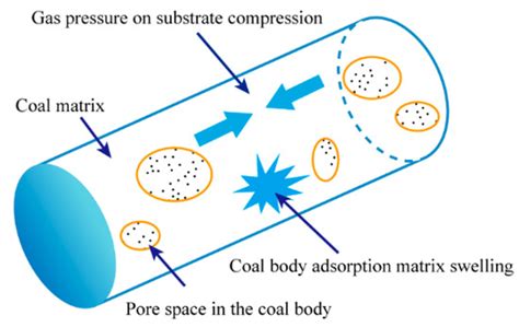 Experimental Study on the Effect of Gas Adsorption and Desorption on ...