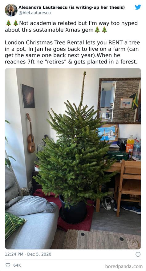 Image result for Zero Waste Tree