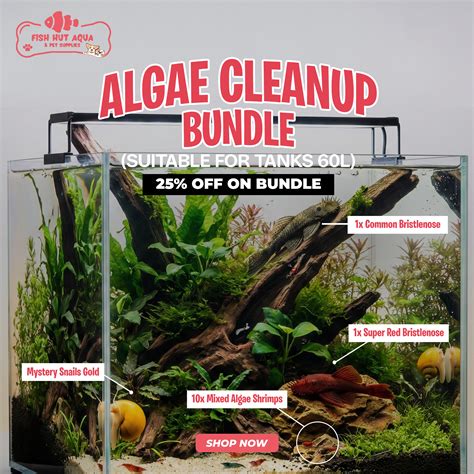 Algae Cleanup Bundle - 25% OFF - FISH HUT AQUA AND PET SUPPLIES