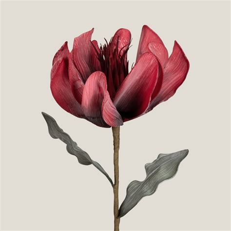 Buy Daffodil Maroon Foam Flower – Address Home