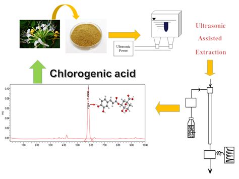 Optimization of Glycerol Extraction of Chlorogenic Acid from ...