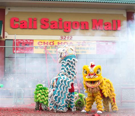 Lunar New Year - DFWChild