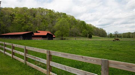 Horse Farm | Franklin, TN | The Wings Group
