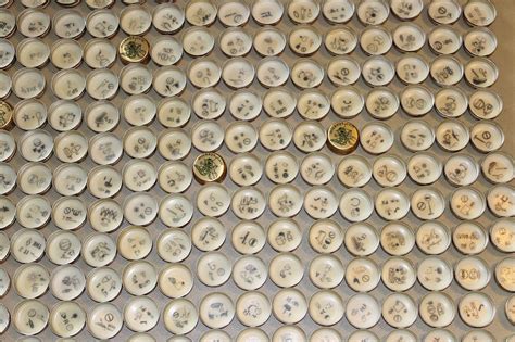 Lot of 365 Mickey's Malt Liquor Beer Bottle Caps | #1922804134